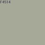 Краска FLUGGER Dekso 20 H2O 30801 полуматовая, база 1 (0,75л) цвет F4514