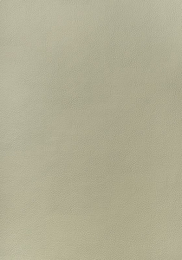 Ткань Thibaut Sierra Arcata W78386 (шир.137 см)