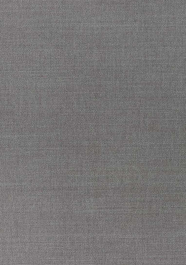 Ткань Thibaut Woven Resource 12 - Prisma W70116