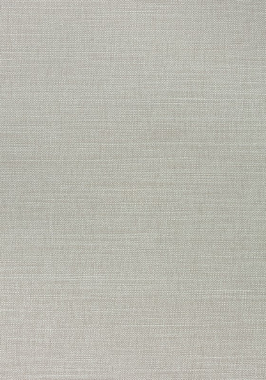 Ткань Thibaut Woven Resource 12 - Prisma W70120