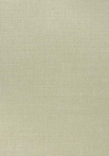 Ткань Thibaut Woven Resource 12 - Prisma W70108