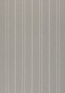 Ткань Thibaut Nomad Nolan Stripe W73311  (шир. 137 см)