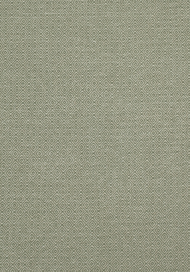 Ткань Thibaut Woven Resource 8-Luxe Texture W724105