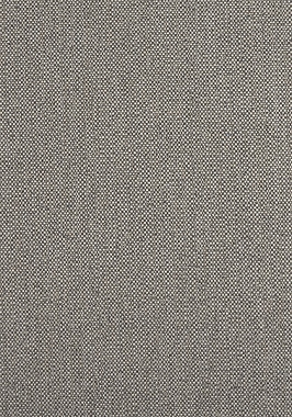 Ткань Thibaut Sereno Tinta W8132 (шир. 137 см)