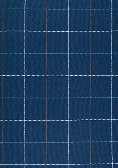 Ткань Thibaut Woven Resource 9-Stripes/Pla W80121