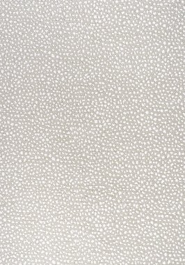 Ткань Thibaut Sierra Fawn W78350 (шир.137 см)