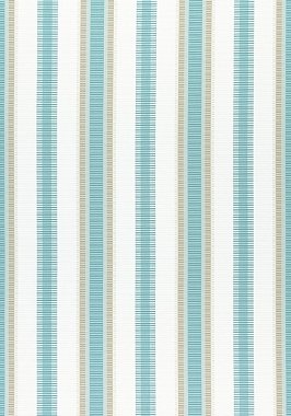 Ткань Thibaut Festival Samba Stripe W74673  (шир.137 см)