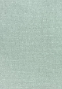 Ткань Thibaut Woven Resource 12 Prisma W70148 (шир.137 см)