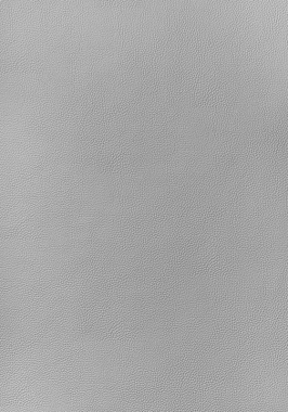 Ткань Thibaut Sierra Arcata W78384 (шир.137 см)