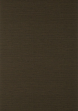 Обои Thibaut Texture Resource VII Prairie Weave T10929 (0,686*8,20)