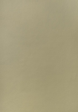Ткань Thibaut Sierra Arcata W78385 (шир.137 см)