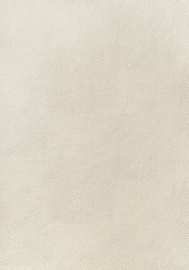 Ткань Thibaut Sierra Arcata W78382 (шир.137 см)