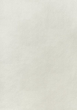Ткань Thibaut Sierra Arcata W78381 (шир.137 см)
