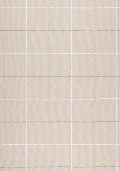 Ткань Thibaut Woven Resource 9-Stripes/Pla W80122