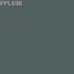 Пробник краски PAINT&PAPER LIBRARY Pure Flat Emulsion PPL698SP цвет 698 (0,125л)