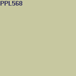 Краска PAINT&PAPER LIBRARY Architect Matt 063260/PLARM5 влагостойкая матовая в/э, база средняя (5л) цвет PPL568