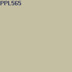 Краска PAINT&PAPER LIBRARY Architect Eggshell 063499/PLEG25 полуматовая в/э, база белая (2,5л) цвет PPL565