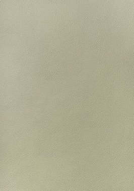 Ткань Thibaut Sierra Arcata W78386 (шир.137 см)