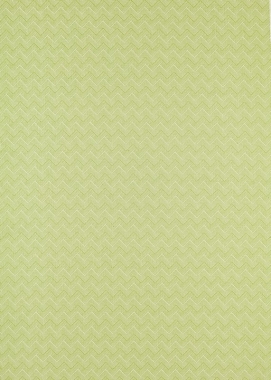 Ткань Sanderson Linnean weaves Nelson - Lime 236800 (ш.138см)