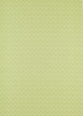 Ткань Sanderson Linnean weaves Nelson - Lime 236800 (ш.138см)