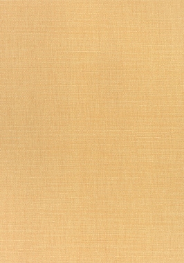 Ткань Thibaut Woven Resource 12 Prisma W70123 (шир.137 см)