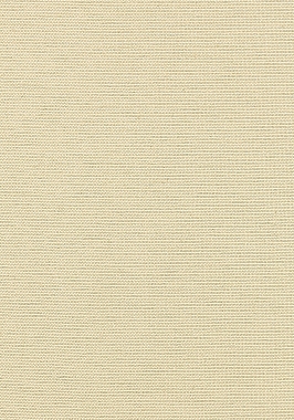 Ткань Thibaut W80264