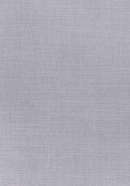 Ткань Thibaut Woven Resource 12 Prisma W70136 (шир.137 см)