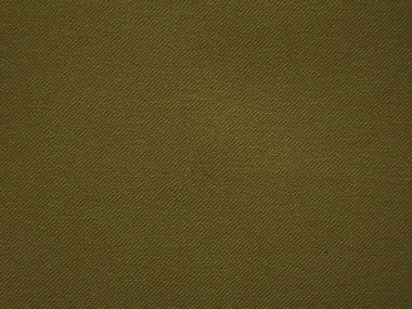 Ткань Eustergerling 2211/52 (шир. 300 см)