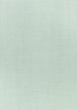 Ткань Thibaut Woven Resource 12 Prisma W70149 (шир.137 см)