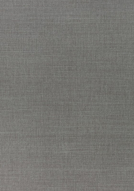 Ткань Thibaut Woven Resource 12 Prisma W70116 (шир.137 см)