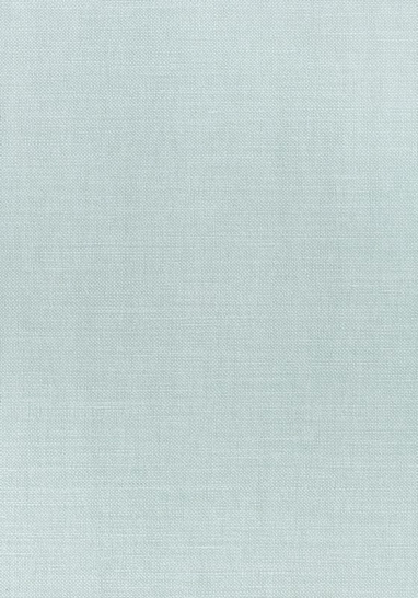Ткань Thibaut Woven Resource 12 - Prisma W70150