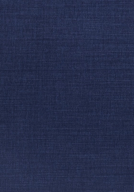 Ткань Thibaut Woven Resource 12 Prisma W70154 (шир.137 см)