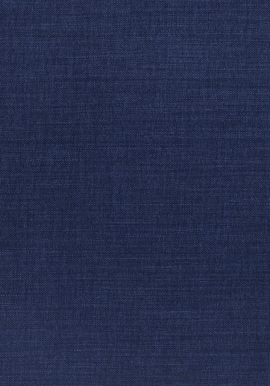 Ткань Thibaut Woven Resource 12 - Prisma W70154