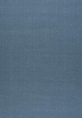 Ткань Thibaut Nomad Brooks W73371 (шир. 137 см)
