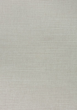 Ткань Thibaut Woven Resource 12 Prisma W70120 (шир.137 см)