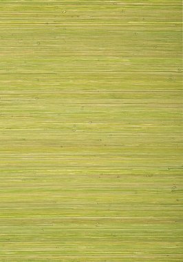 Обои Thibaut Grasscloth Resource V Raffia Palm T724070 (0,91*7,32)