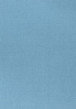 Ткань Thibaut Woven Resource 12 Prisma W70152 (шир.137 см)