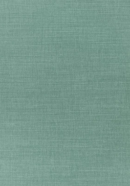 Ткань Thibaut Woven Resource 12 Prisma W70145 (шир.137 см)