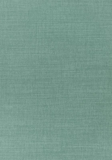 Ткань Thibaut Woven Resource 12 - Prisma W70145