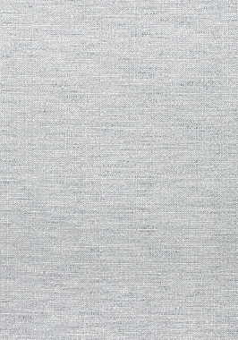 Ткань Thibaut Woven Resource 11-Rialto Dante W80696 (шир.137 см)