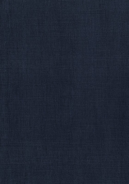 Ткань Thibaut Woven Resource 12 Prisma W70156 (шир.137 см)