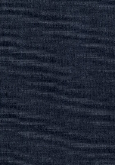 Ткань Thibaut Woven Resource 12 - Prisma W70156