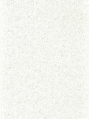 Обои Zoffany Folio Ajanta 312956 (0.686*10.05)