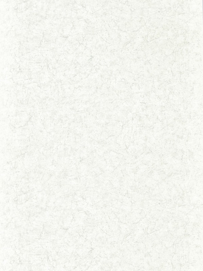 Обои флизелиновые Zoffany Folio арт. 312956