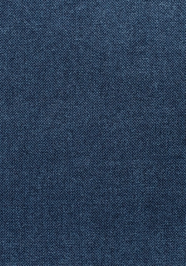 Ткань Thibaut Woven Resource 11-Rialto Picco W80708 (шир.137 см)