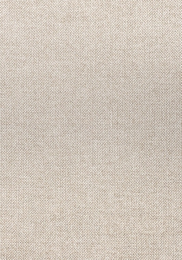 Ткань Thibaut Woven Resource 11-Rialto Picco W80704 (шир.137 см)