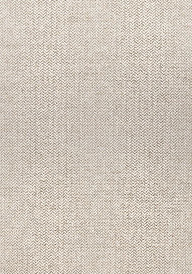 Ткань Thibaut Woven Resource 11-Rialto W80704