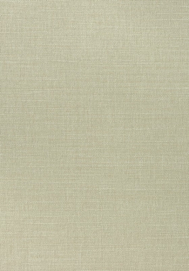 Ткань Thibaut Woven Resource 12 Prisma W70108 (шир.137 см)