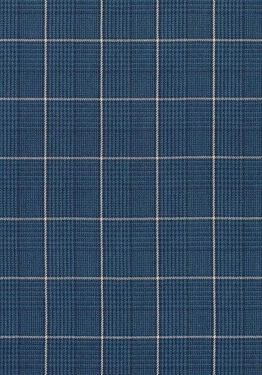 Ткань Thibaut Colony fabrics W710201
