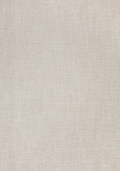 Ткань Thibaut Woven Resource 8-Luxe Texture W724111